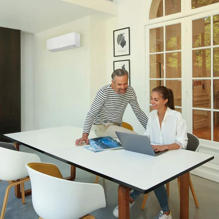 Daikin Perfera